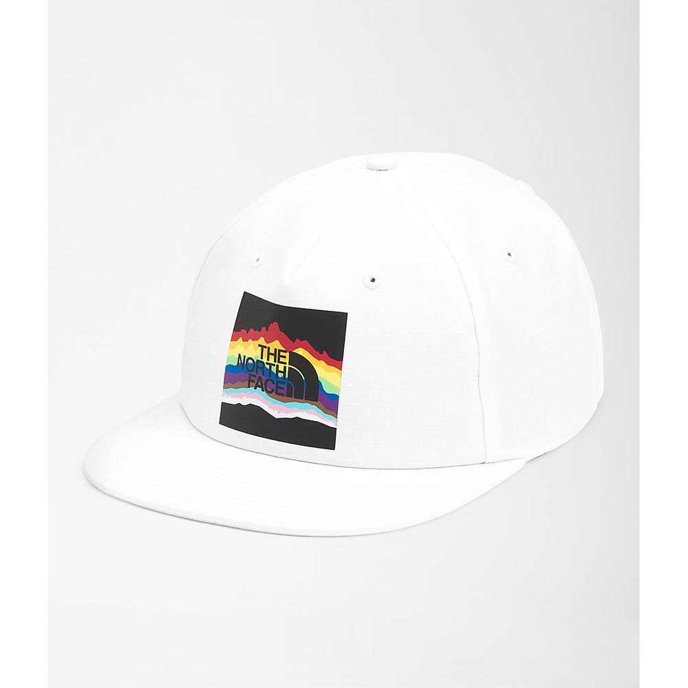 The North Face Caps Mens Australia - The North Face Pride Ball White (EXP-089543)